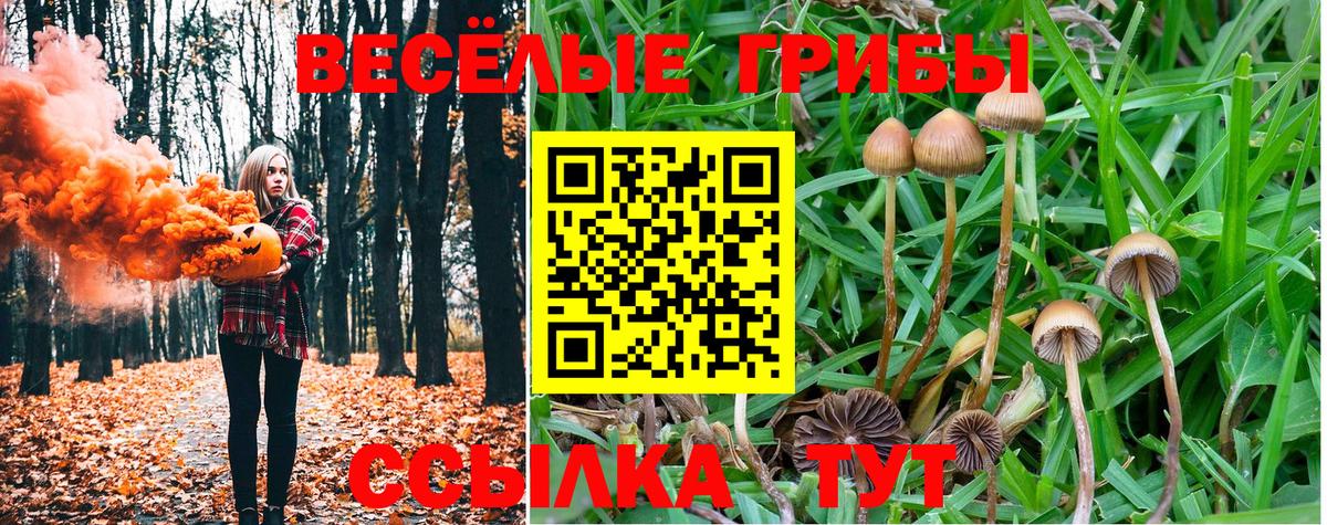 Псилоцибиновые грибы Magic Shrooms Новотроицк